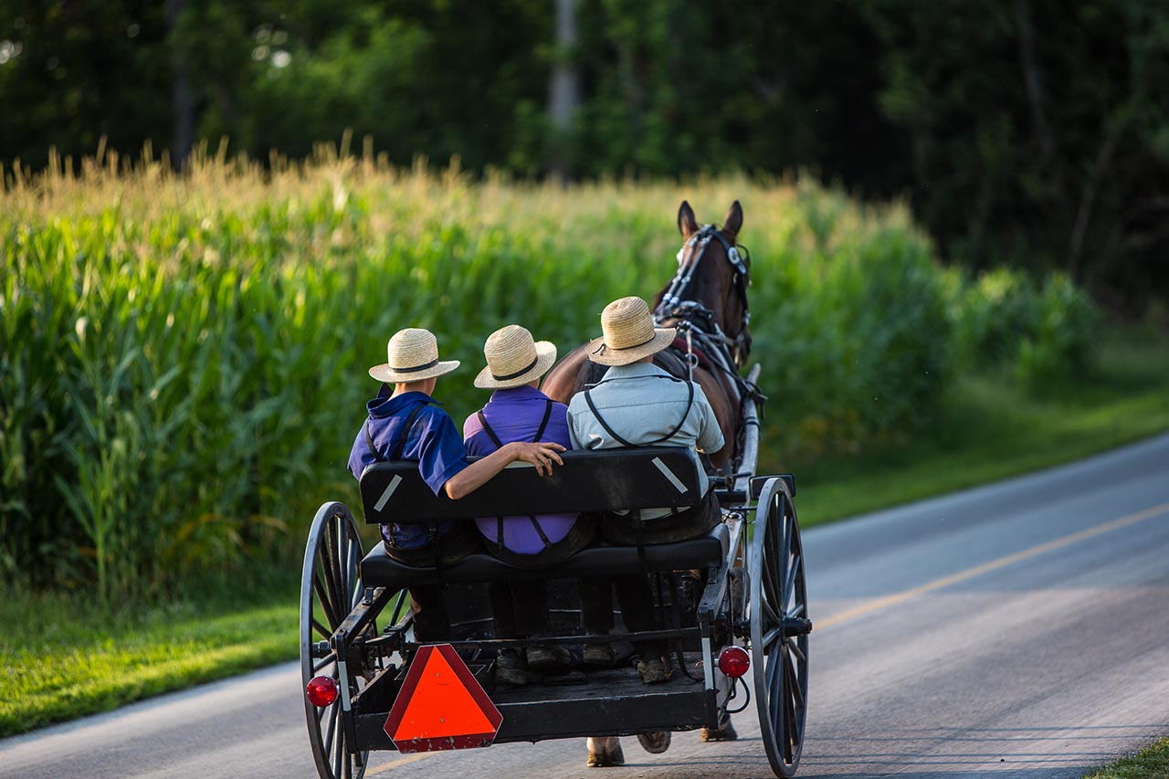 three men in a carriage being led by a horse