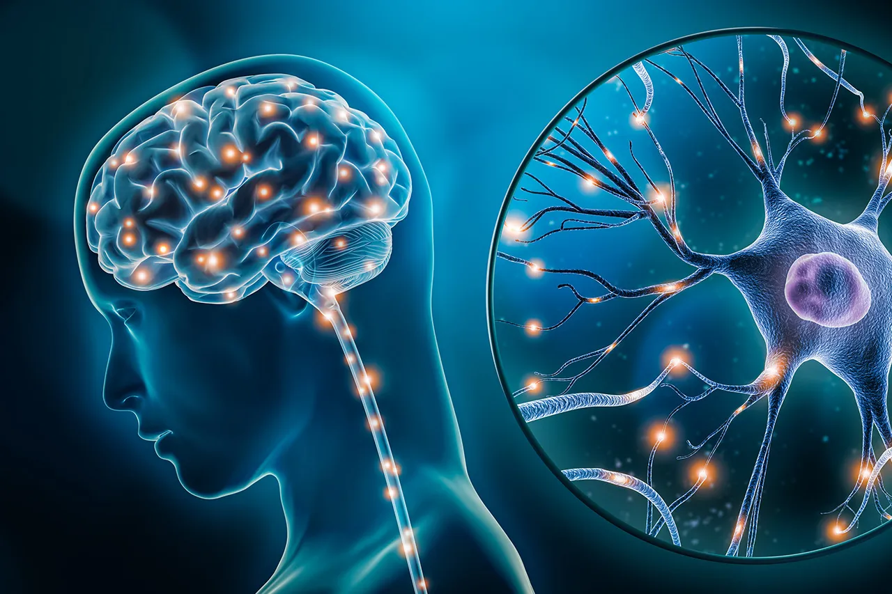 supplements to increase glp 1 GLP-1 Supplement